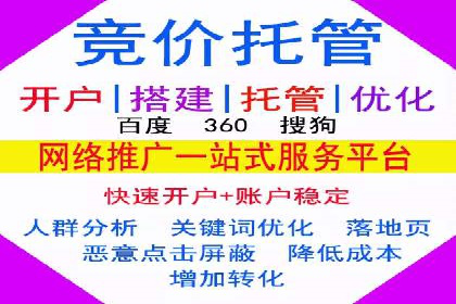 百度搜索推广实战经验：经典案例启示录